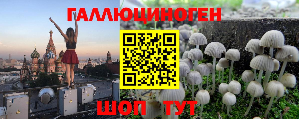 закладка  Вход с VPN  Корсаков  Галлюциногенные грибы мухоморы 